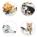 Electric Floppy Fish Cat Toy