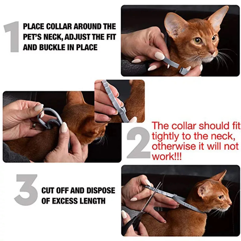 All-in-One Flea and Tick Collar for Dogs & Cats