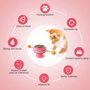 Interactive Catnip Turntable Toy