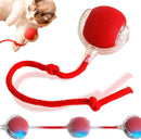 Automatic Rolling Ball Toy