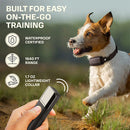 Electric Training Collar