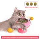Interactive Catnip Turntable Toy