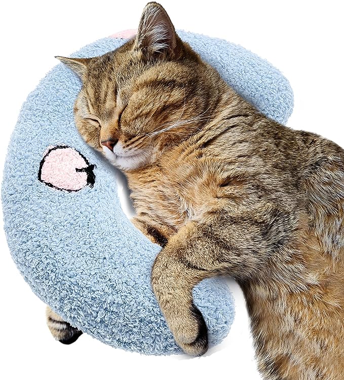 Cat Toy Pillow