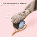 Automatic Ball Cat Toy