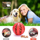 Interactive Elastic Dog Ball Toy
