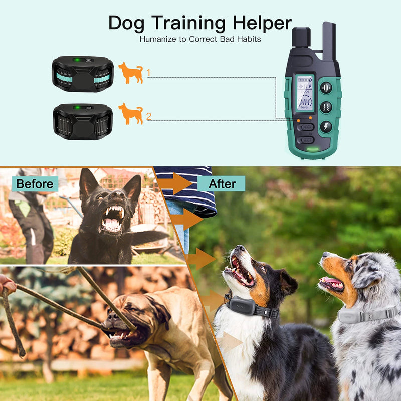 Dog Training Collar with Remote