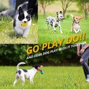 Interactive Elastic Dog Ball Toy