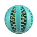Interactive Elastic Dog Ball Toy