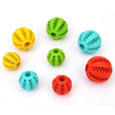 Interactive Elastic Dog Ball Toy