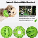 Interactive Elastic Dog Ball Toy