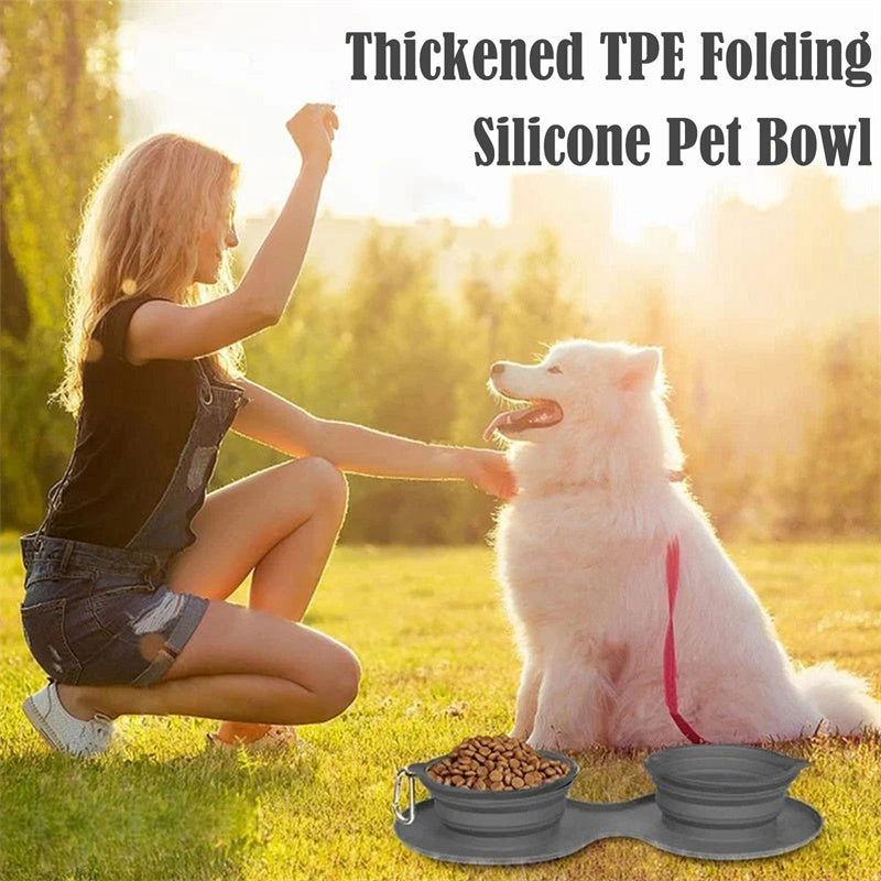 Travel Dog Bowl