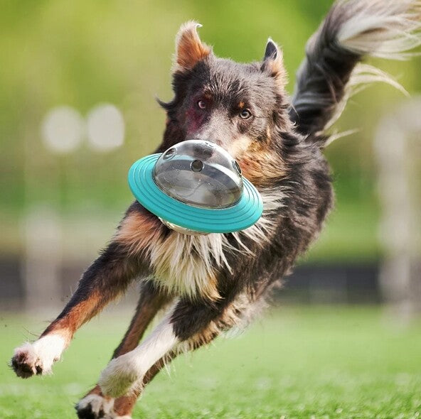 Flying Saucer Dog Game